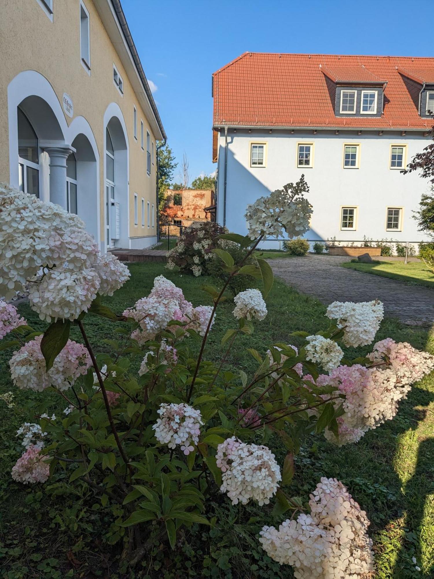 Hof Gruebler Apartment Klipphausen Luaran gambar